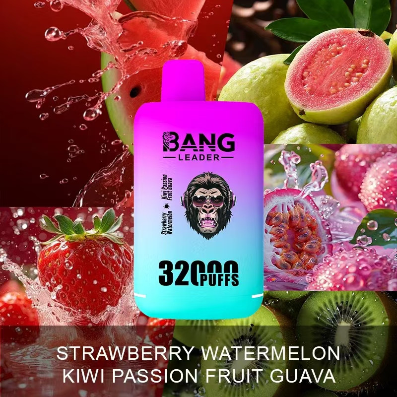 BANG LEADER 32000 Puffs Disposable Vape BANG LEADER 32000 Puffs Disposable Vape Rechargeable LED Display Mesh Coil High Puff Vape Wholesale - Image 1