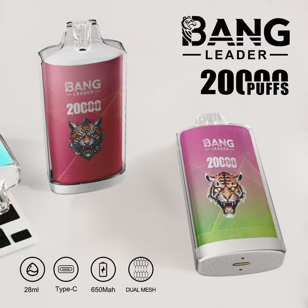 BANG LEADER 20000 Puffs Disposable Vape BANG LEADER 20000 Puffs Disposable Vape Rechargeable LED Display Dual Mesh Coil Wholesale - Image 1