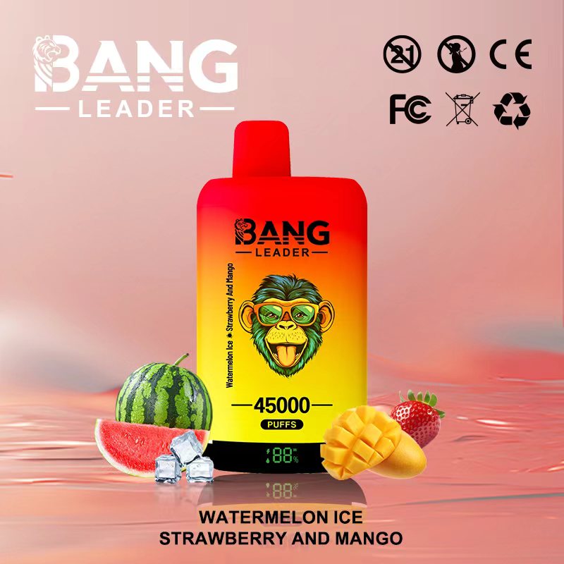 BANG LEADER 45000 Puffs Disposable Vape BANG LEADER 45000 Puffs Disposable Vape Rechargeable LED Display Mesh Coil High Puff Vape Wholesale - Image 1