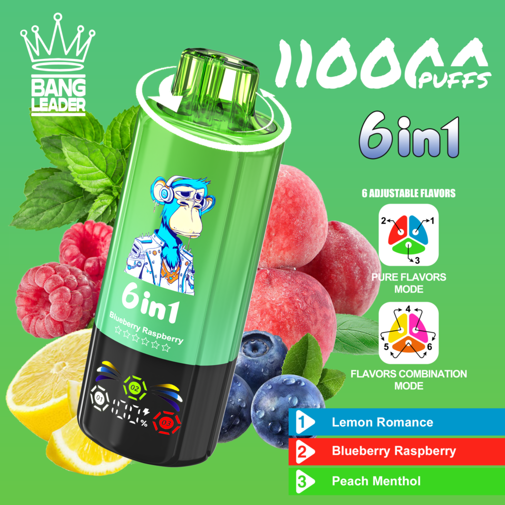 BANG LEADER 110K disposable vape BANG LEADER 110K Puffs 6 in 1 Flavor Disposable Vape Rechargeable LED Display Mesh Coil Wholesale - Image 1